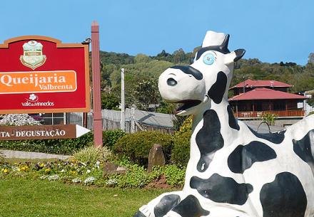 Gran Reserva Tour - Vale dos Vinhedos in Gramado - Photo 4
