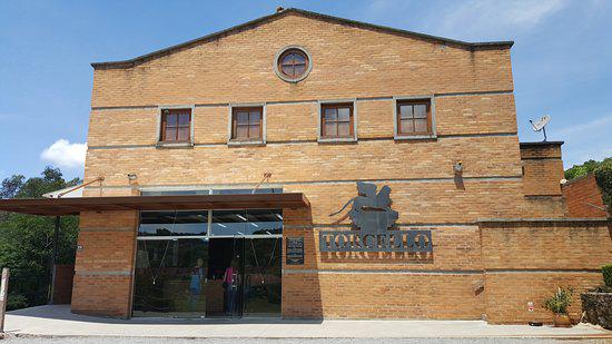 Gran Reserva Tour - Vale dos Vinhedos in Gramado - Photo 5