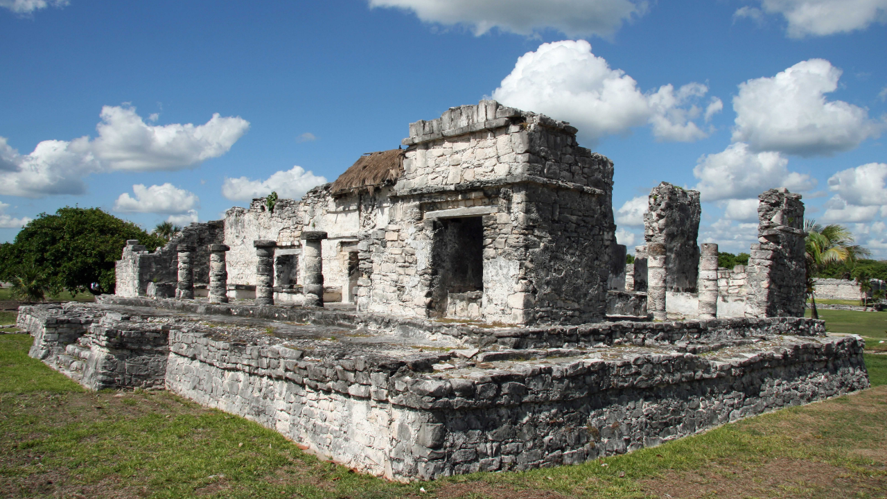 Tulum and Cenote Tour on the Riviera Maya  - Photo 5
