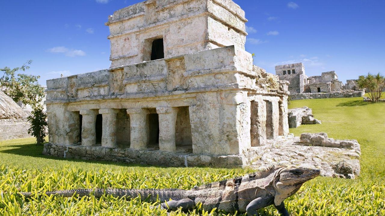 Tour Tulum Express  - Photo 4
