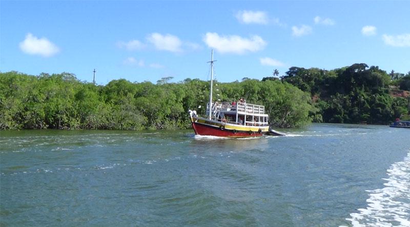 River Schooner Tour in Porto Seguro  - Photo 4