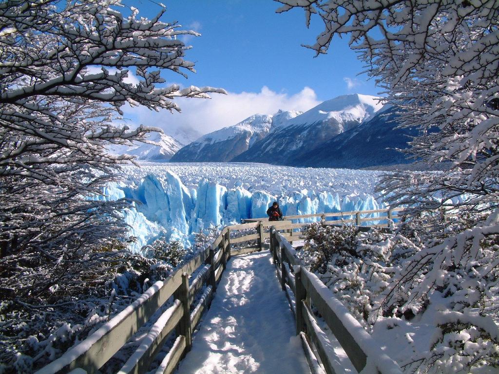 Perito Moreno Glacier with entrance to Glaciares National Park from El Calafate - Photo 3