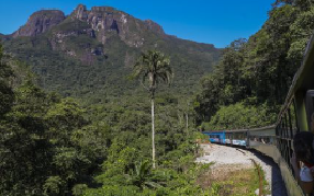 Simple Sunset Train Package, Boutique Class, departing from Curitiba - Photo 3
