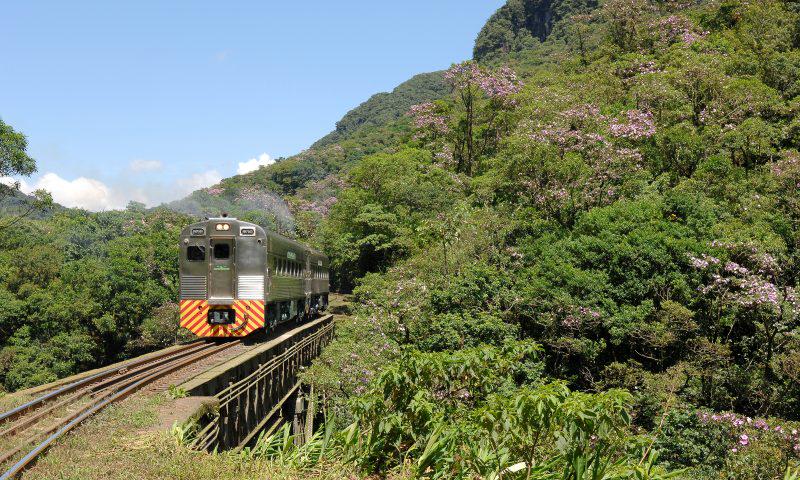 Morretes / Antonina First Class Train Package from Curitiba - Photo 3