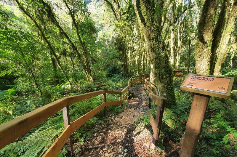 Tour pé na cascata Bate e Volta em Gramado - Photo 4
