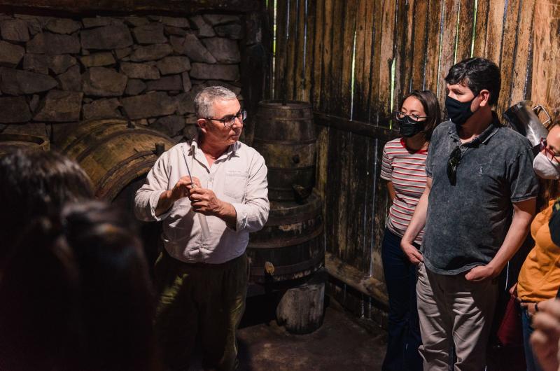 Valley Tour with Colonial Coffee - Agritourism - Photo 2