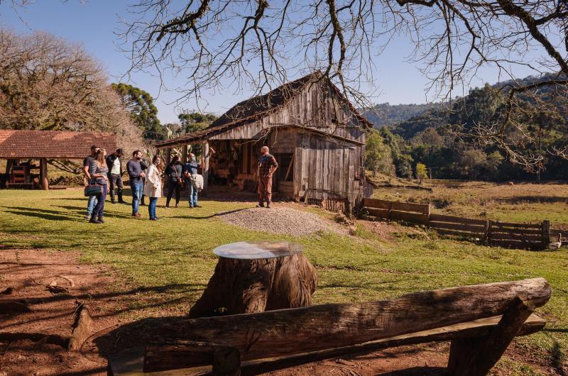 Colonial Roots Tour with Colonial Coffee - Agritourism - Photo 4