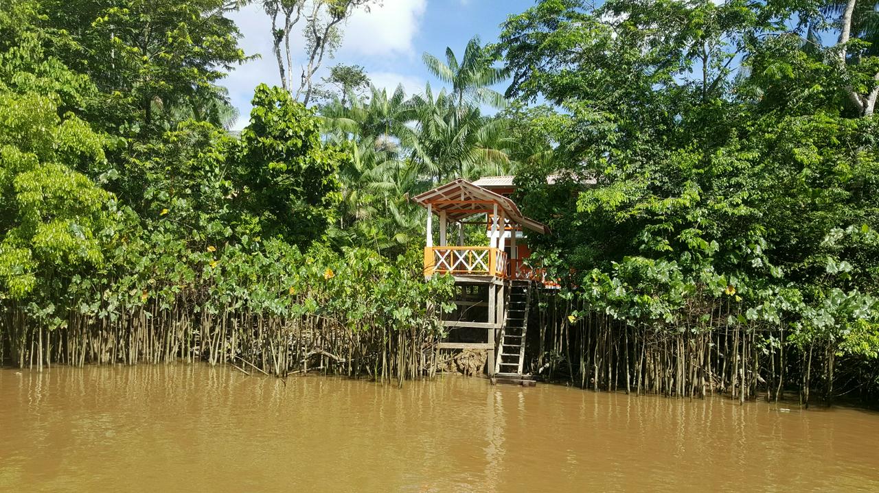 Visita Ilha do Combu  - Photo 4