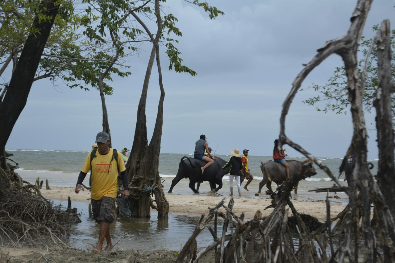 Marajó Island - Sun and Beach - Photo 4
