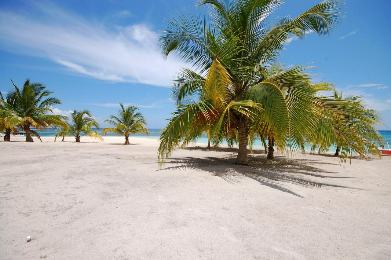 Isla Saona Relax - Photo 4
