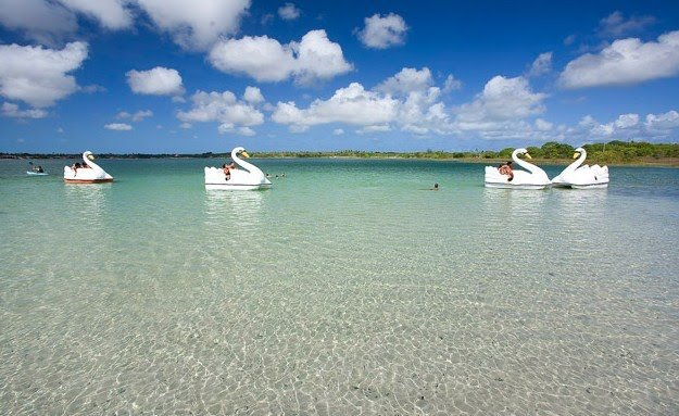 A trip to the lagoons on the south coast. - Photo 4