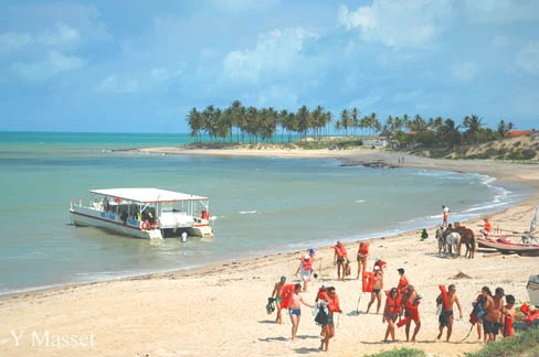A day at Maracajau beach with snorkeling. - Photo 4
