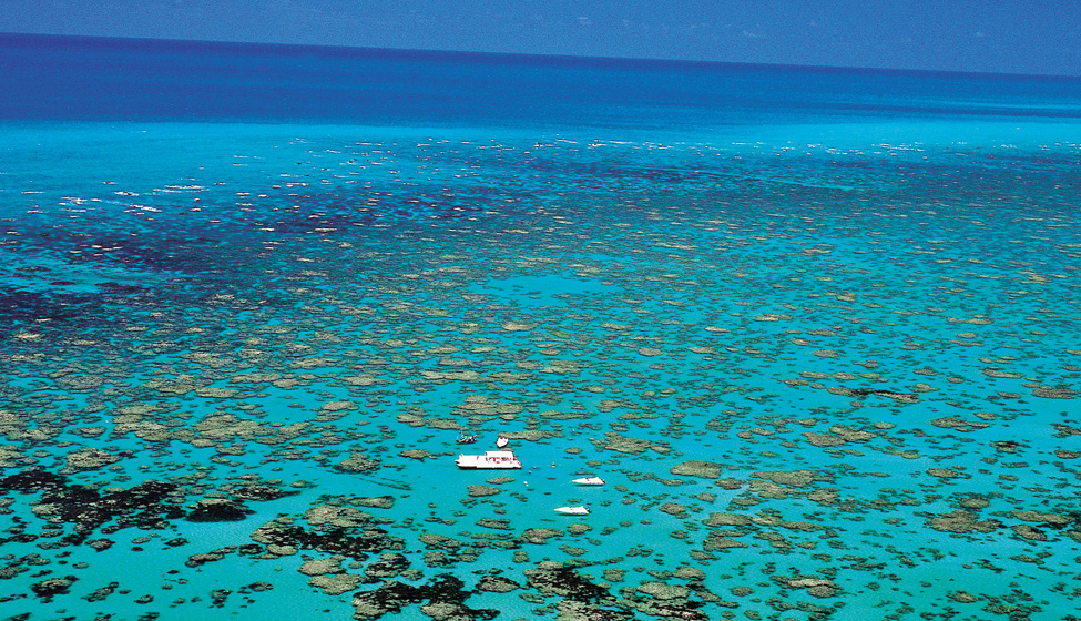 Parrachos of Pirangi  - Photo 4