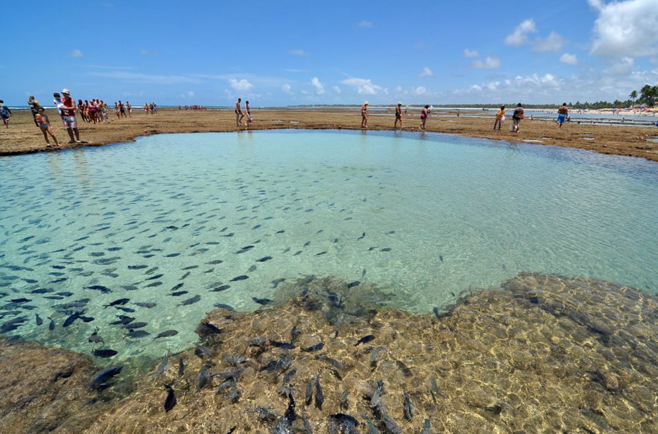 Porto de Galinhas Beach - Photo 4