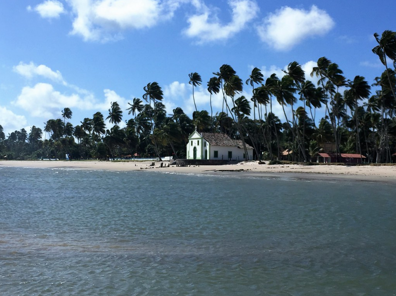 Day trip to Carneiros Beach - Photo 4
