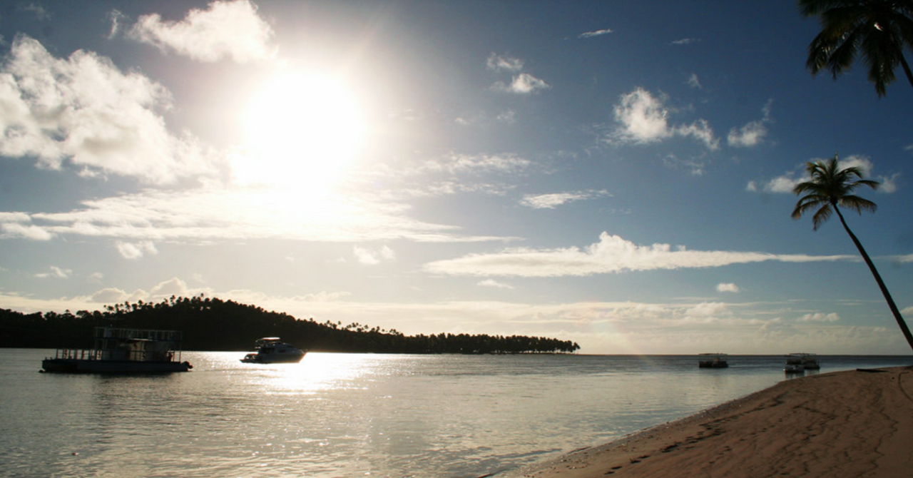 Day trip to Carneiros Beach + Catamaran tour departing from Porto de Galinhas - Photo 3