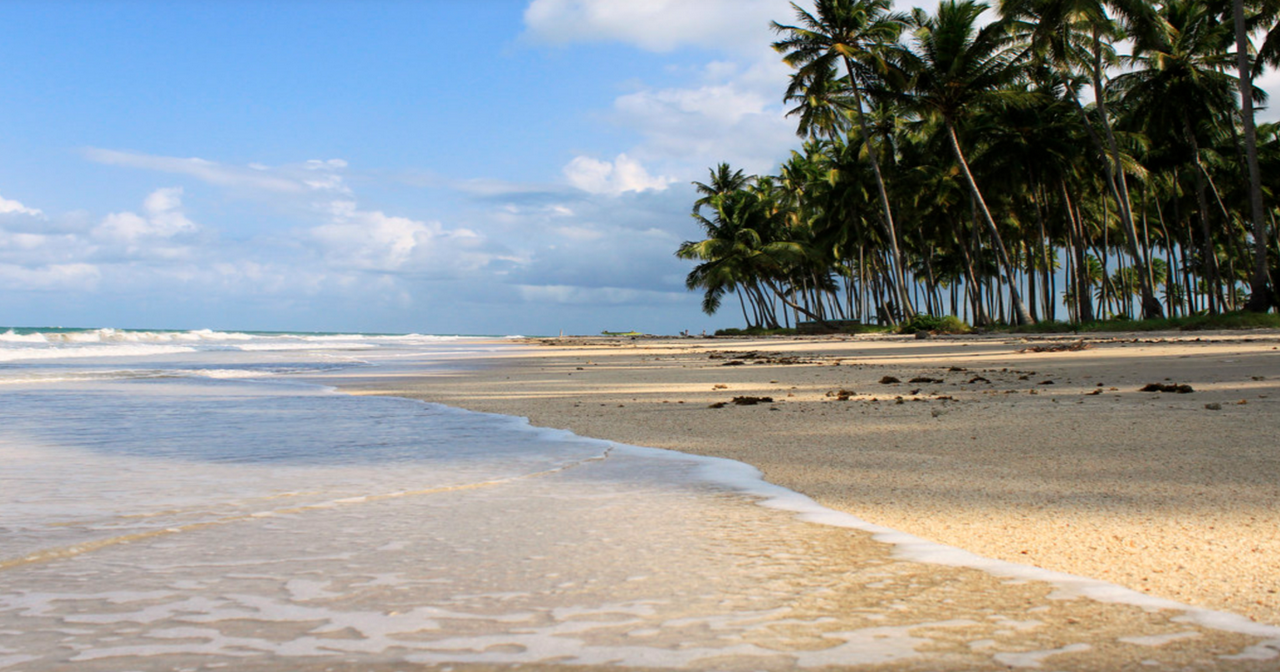 Day trip to Carneiros Beach + Catamaran tour departing from Porto de Galinhas - Photo 4
