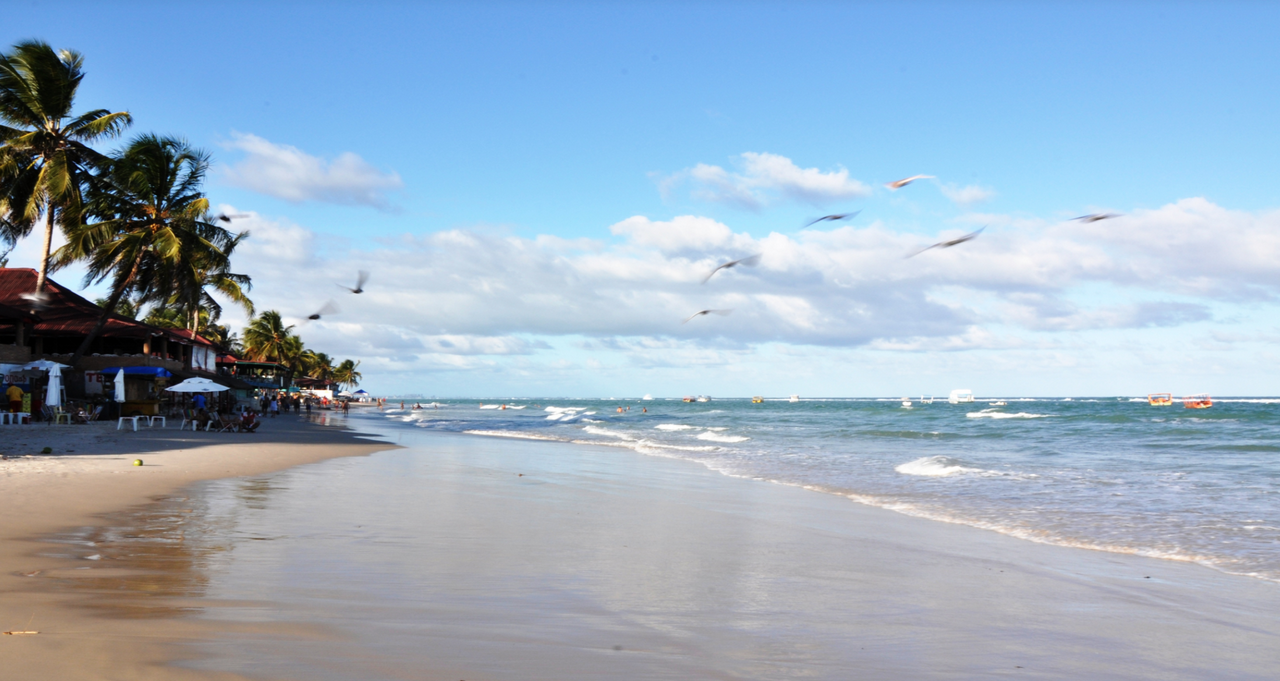 Day trip to Maragogi + catamaran tour departing from Porto de Galinhas - Photo 4