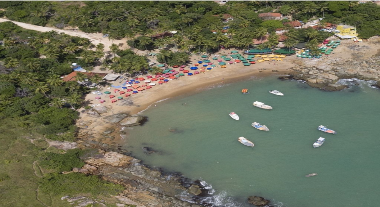 Day trip to Suape Beach - departing from Porto de Galinhas - Photo 3