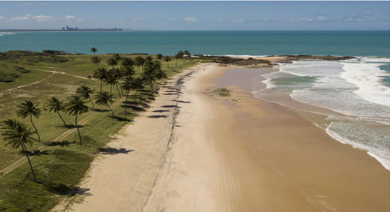 Day trip to Suape Beach - departing from Porto de Galinhas - Photo 4