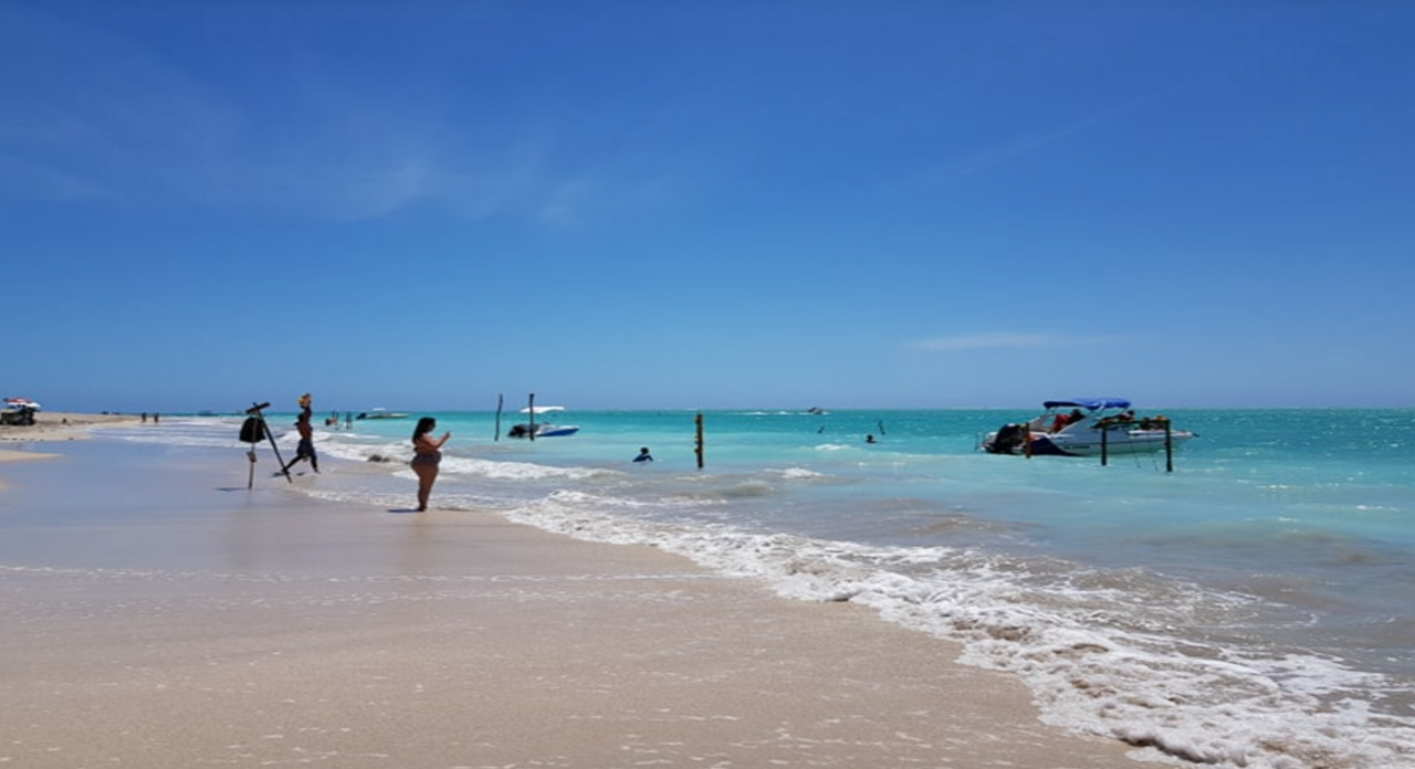 Day tour of the Coral Coast in São José da Coroa Grande leaving from Porto de Galinhas  - Photo 2