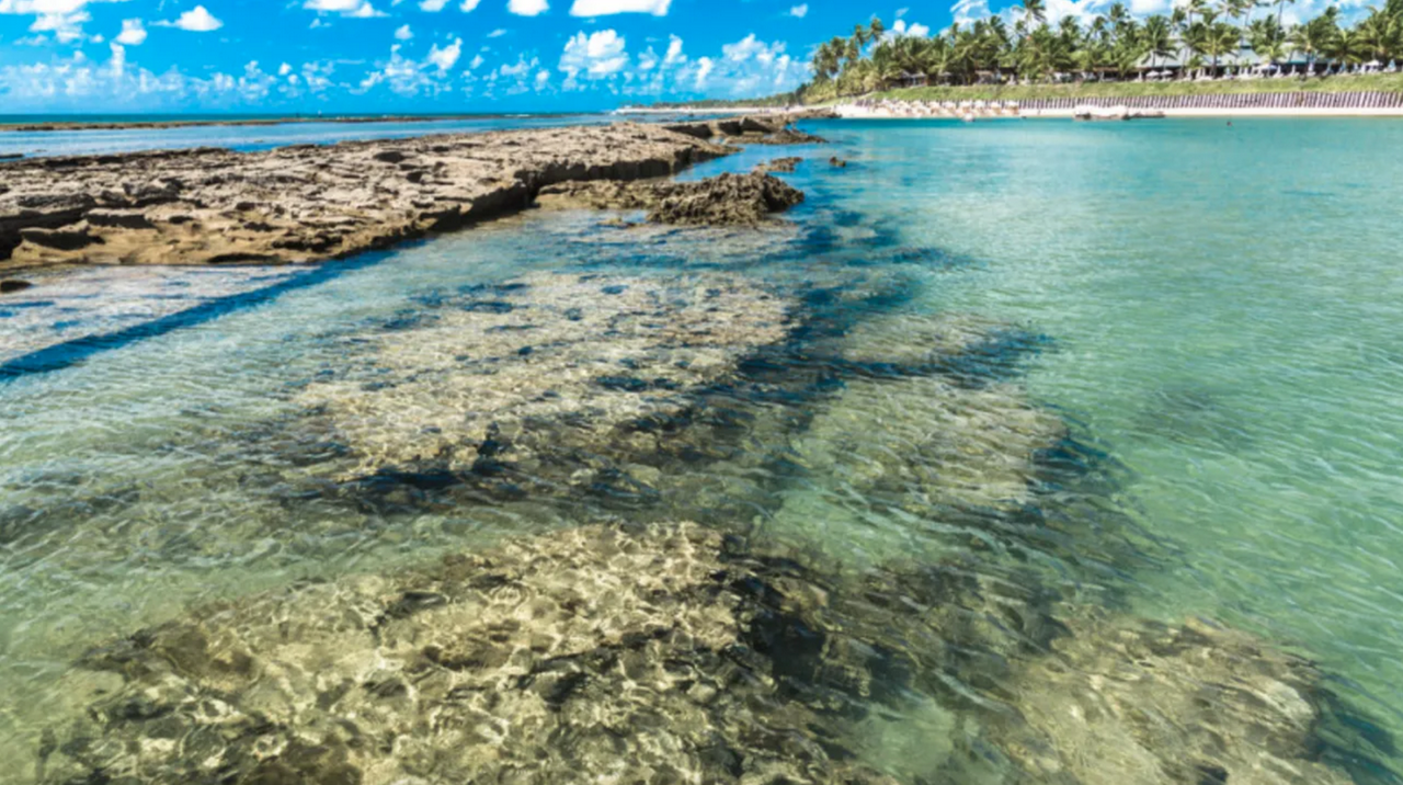Combo: Day trip to Sanzé Beach + Suape Beach + Maragogi Beach + Carneiros Beach - Photo 2