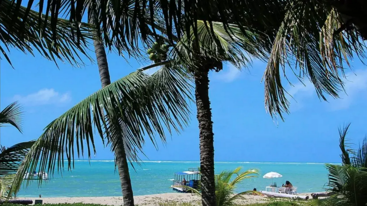 Combo: Day trip to Sanzé Beach + Suape Beach + Maragogi Beach + Carneiros Beach - Photo 4