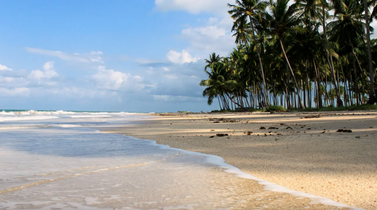 Combo: Round-trip transfer from Recife airport to hotels in Porto de Galinhas + Day tour at Carneiros Beach with Catamaran Ride - Photo 2
