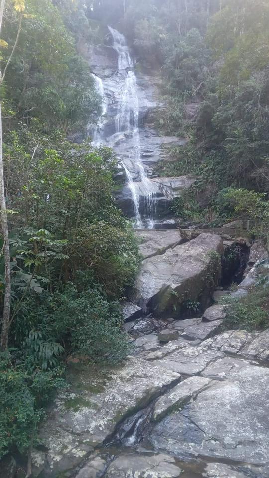 Tour pela Floresta de Tijuca com guia local - Photo 4