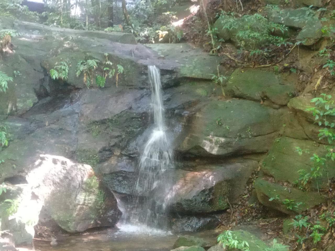 Christ the Redeemer Trail (Parque Lage - Corcovado) - Photo 4
