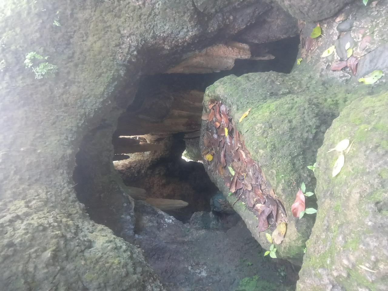 Christ the Redeemer Trail (Parque Lage - Corcovado) - Photo 7