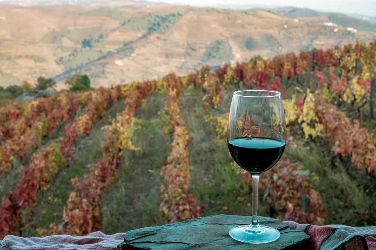 Full-day Douro Valley tour with lunch and wine tasting - Departing from Porto - Photo 3