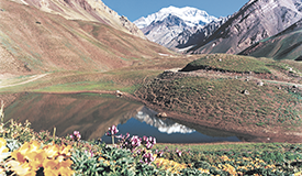 Tour Image