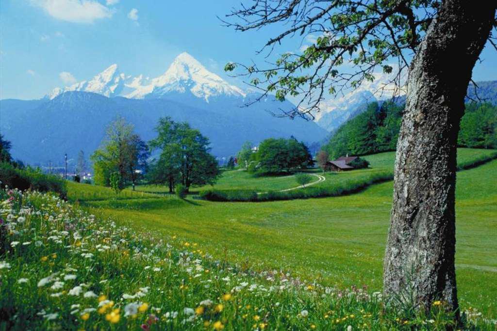 Excursion to Berchtesgaden and the Eagle's Nest - Photo 4