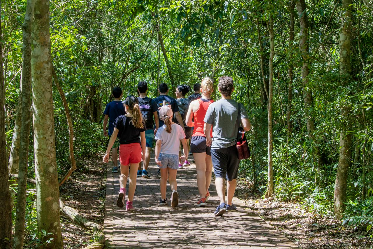 Iguaçu Falls: Brazilian Falls and Bird Park - Photo 10