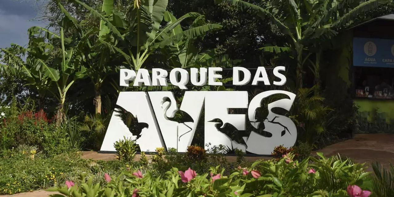 Iguaçu Falls: Brazilian Falls and Bird Park - Photo 15