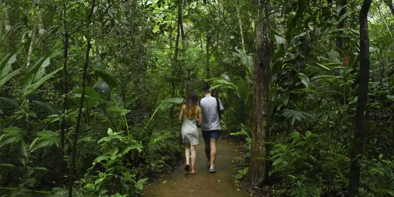 Iguaçu Falls: Brazilian Falls and Bird Park - Photo 16