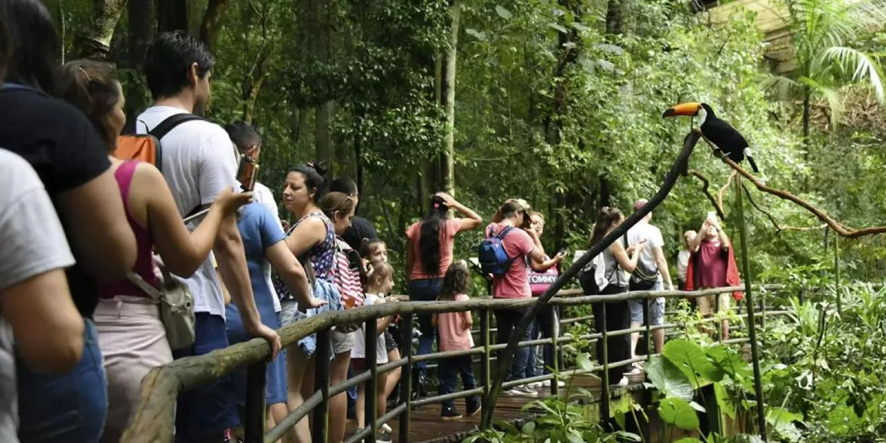 Iguaçu Falls: Brazilian Falls and Bird Park - Photo 18