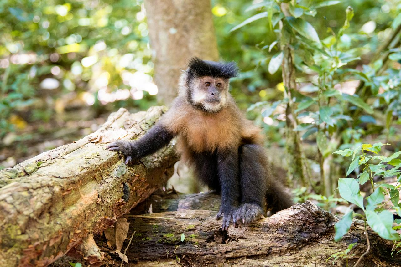 2-Day Iguazu Experience: Argentine and Brazilian Falls with Transfers - Photo 11