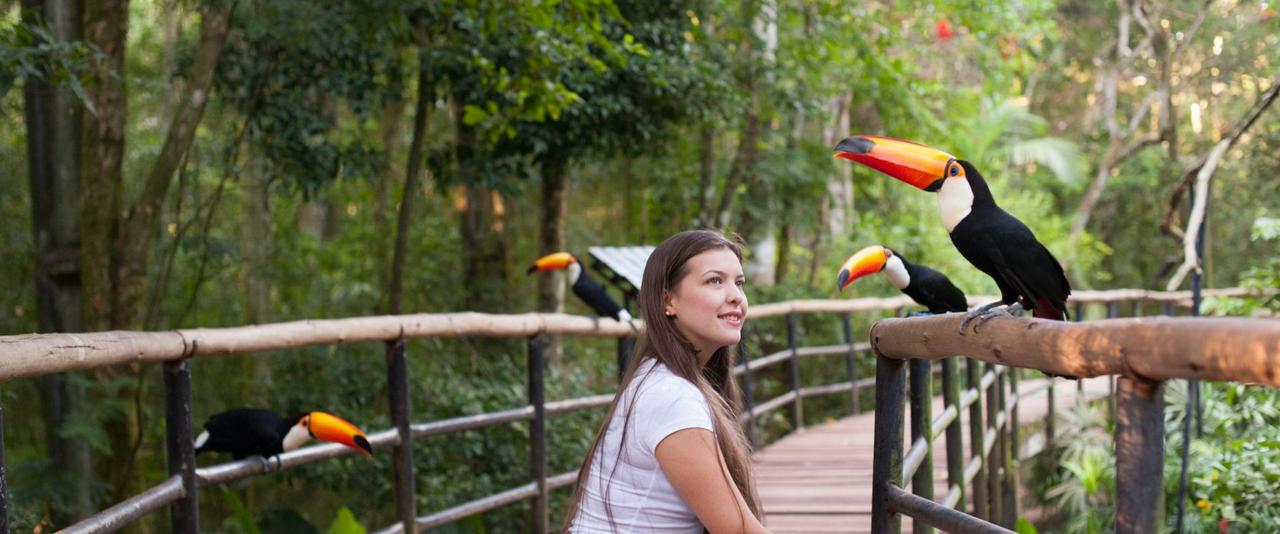 Combined package: Argentine Falls, Brazilian Falls and Bird Park, with airport transfers - Photo 4