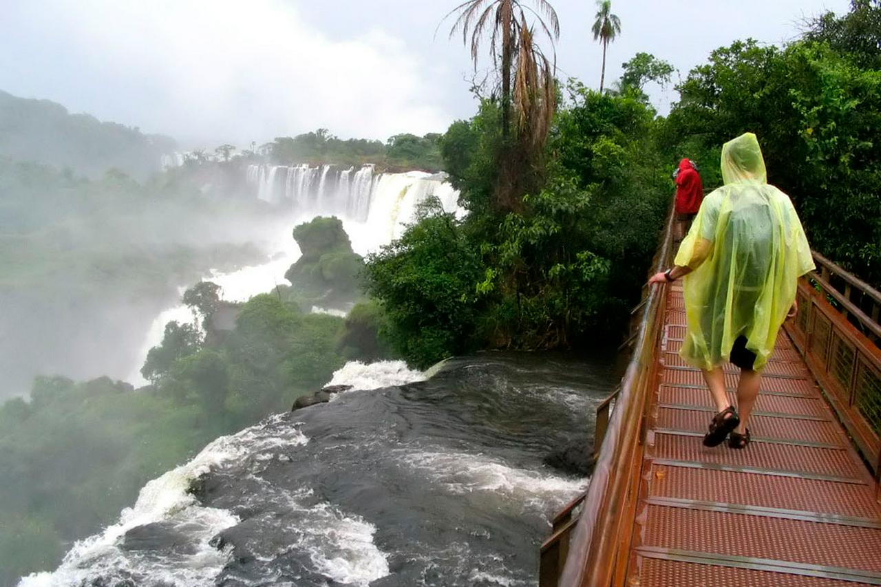 Combined package: Argentine Falls, Brazilian Falls and Bird Park, with airport transfers - Photo 16