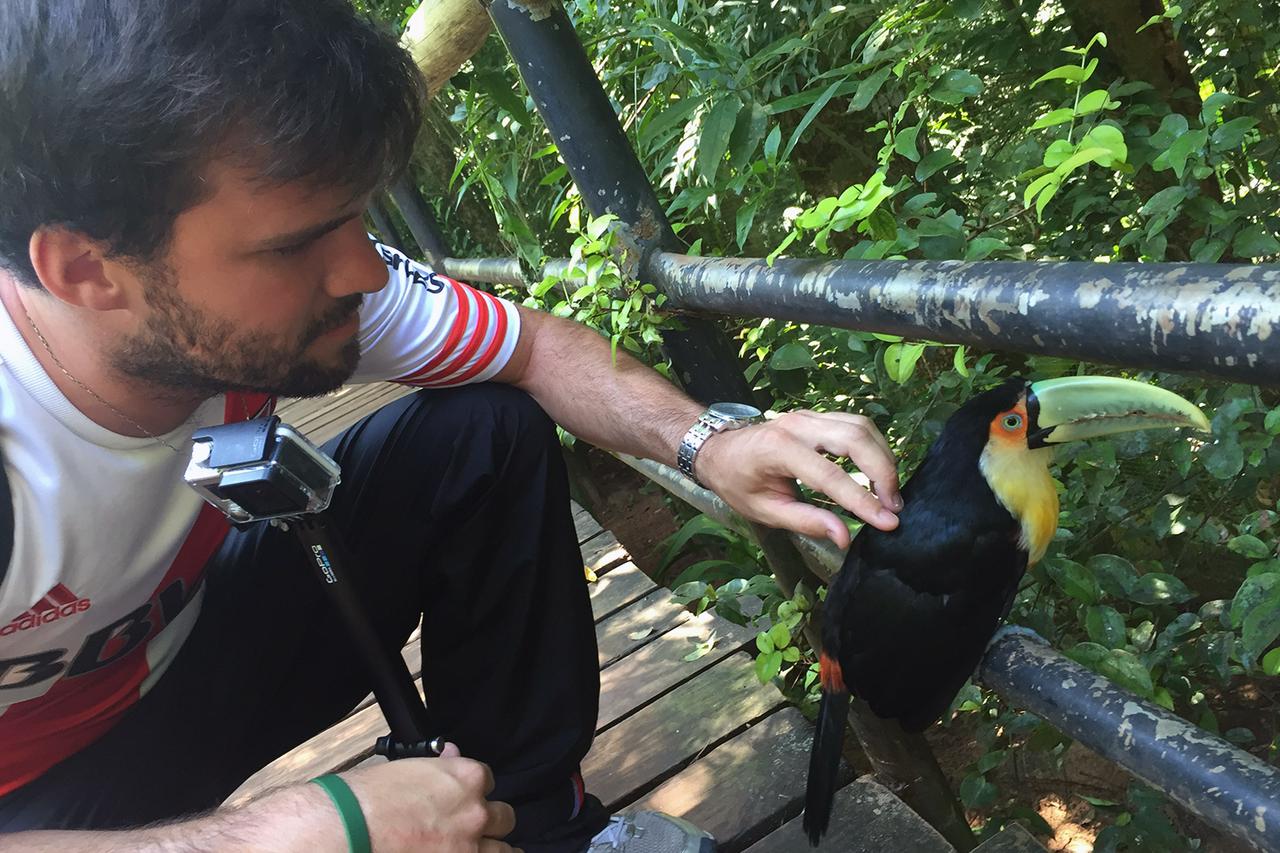Combined package: Argentine Falls, Brazilian Falls and Bird Park, with airport transfers - Photo 22