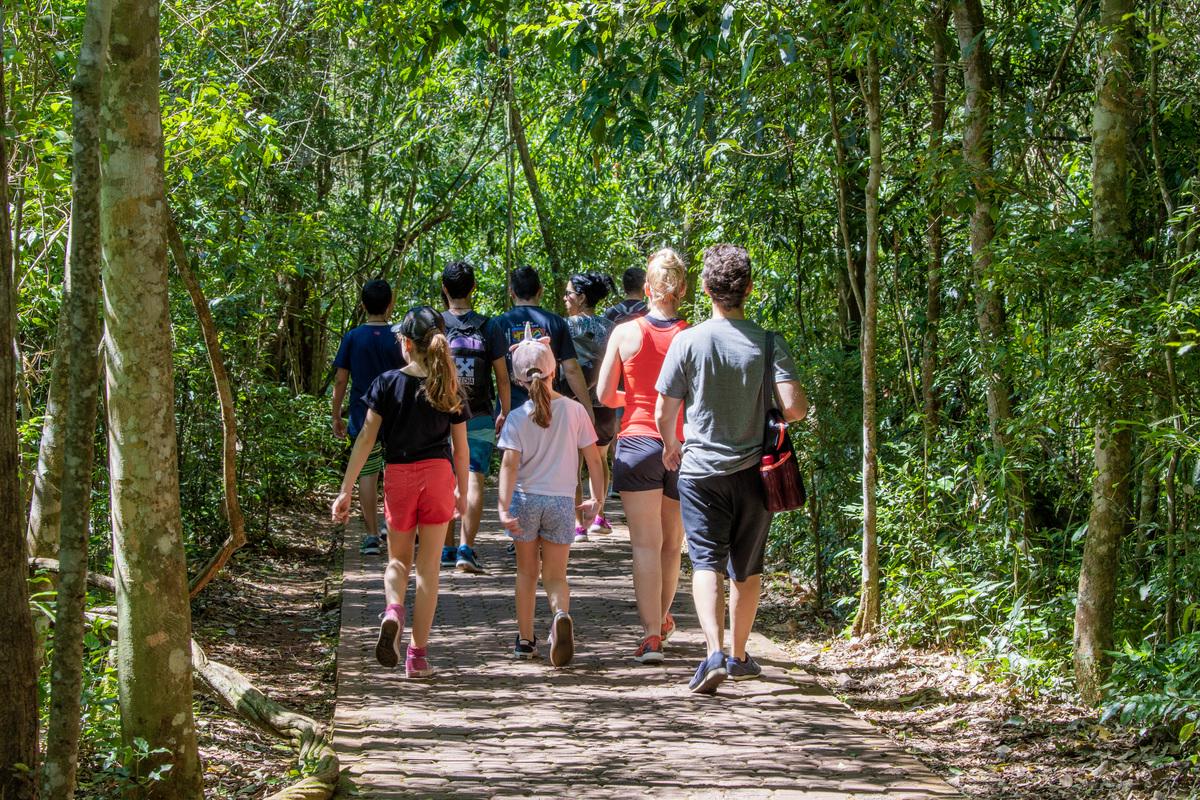 Iguazu: Argentine Falls with Great Adventure and Brazilian Falls with transfers - Photo 10