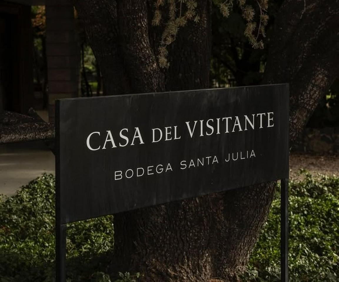Wines, Vineyards and Picnics: Discover the charm of Mendoza's wineries - Photo 4