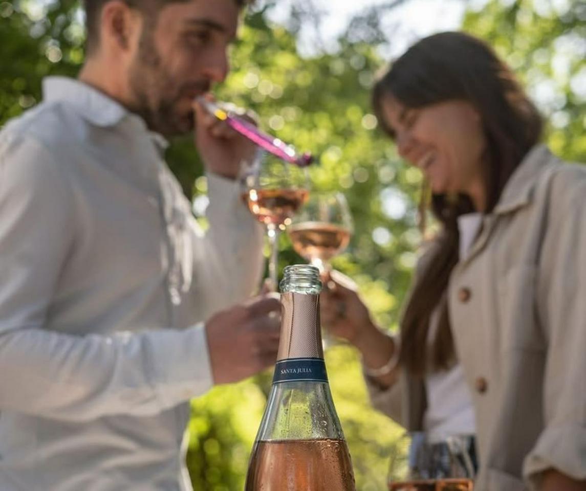 Wines, Vineyards and Picnics: Discover the charm of Mendoza's wineries - Photo 5