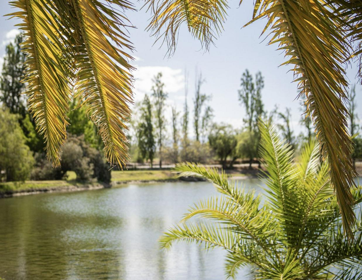 Wines, Vineyards and Picnics: Discover the charm of Mendoza's wineries - Photo 7