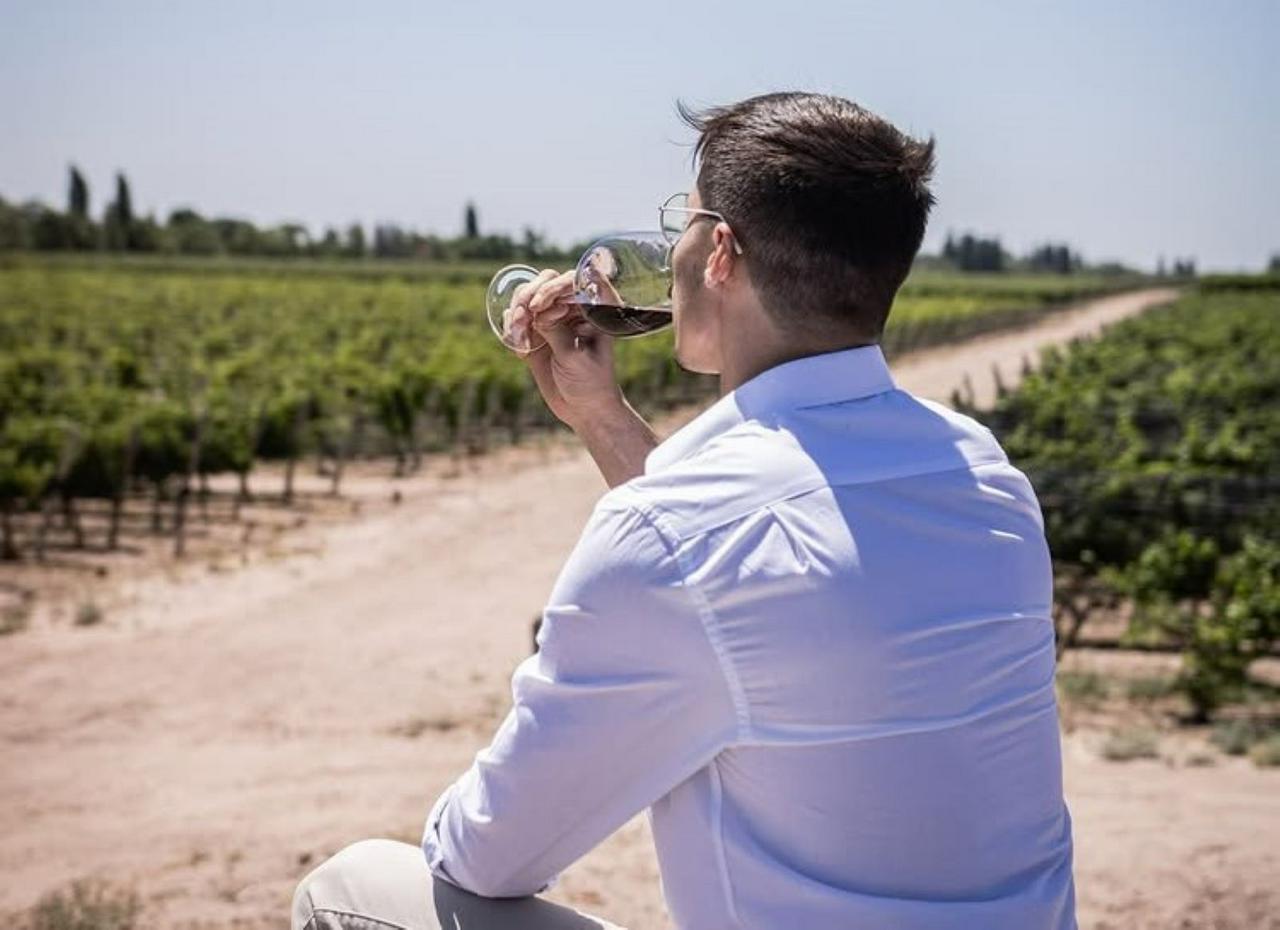 Wines, Vineyards and Picnics: Discover the charm of Mendoza's wineries - Photo 9