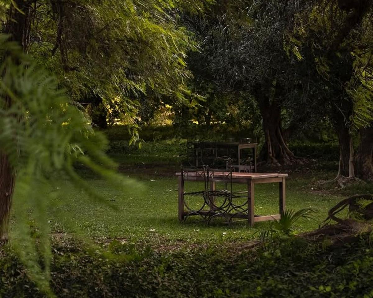 Wines, Vineyards and Picnics: Discover the charm of Mendoza's wineries - Photo 10