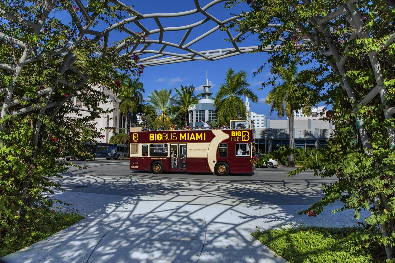 Hop-on Hop-off Tourist Bus - All tours - Photo 14