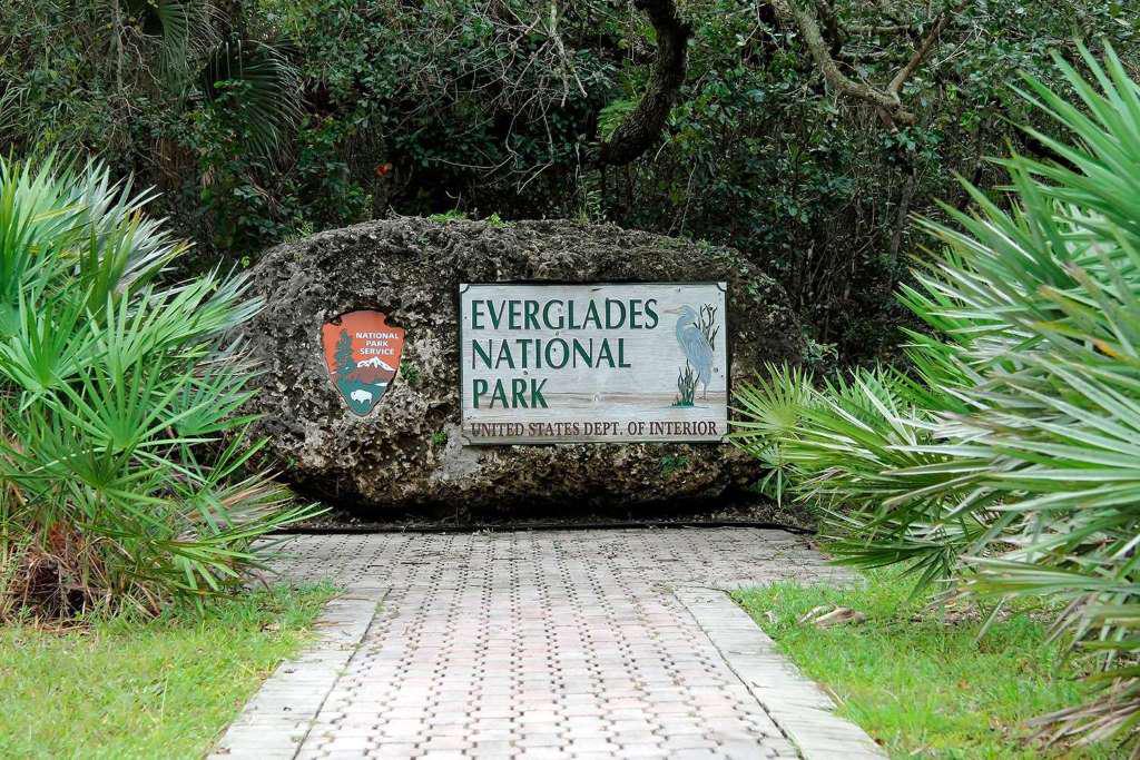 Everglades Airboat Adventure - Photo 2